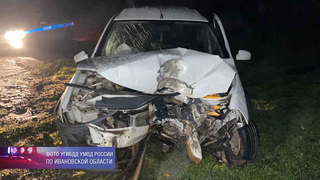 Автомобиль ударом снес дерево в Ивановской области